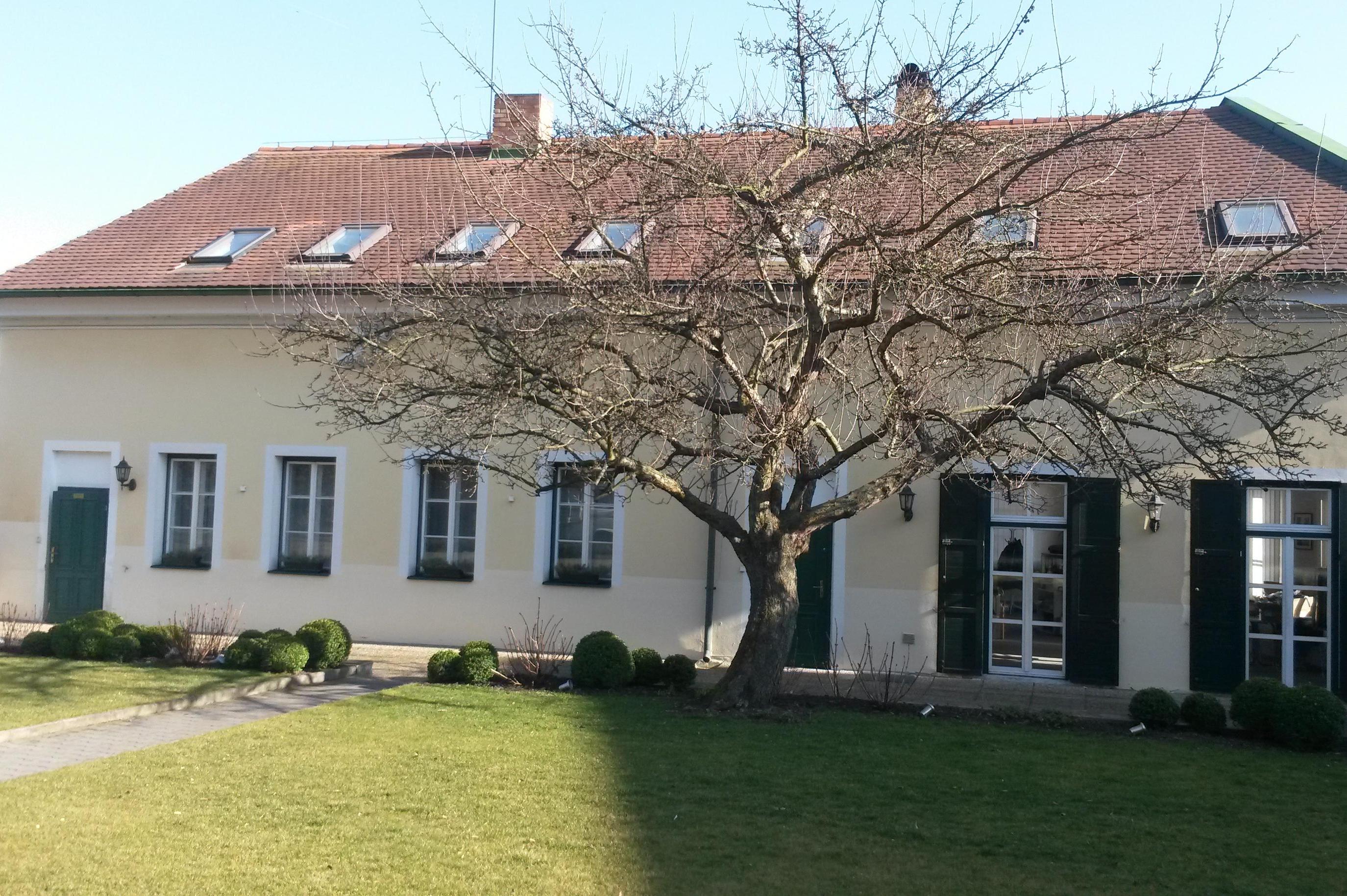 Palutex spol. s r.o.