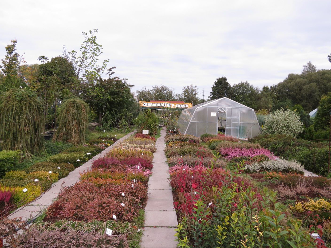 Zahradnictví Franc foto 2