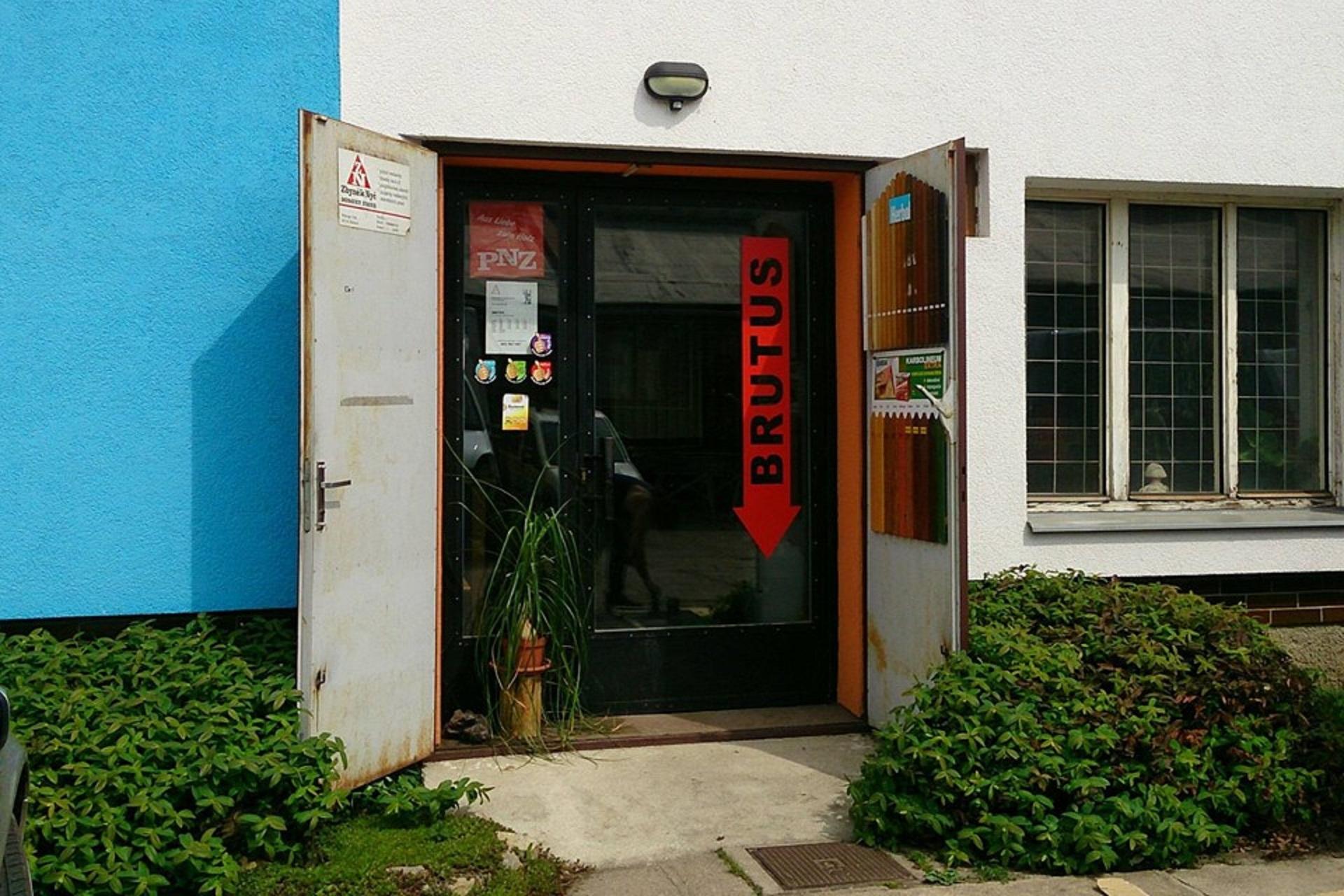 BRUTUS - Eva Nyčová