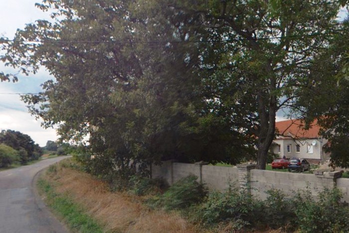 Canisterapeutické sdružení Jižní Morava foto 3