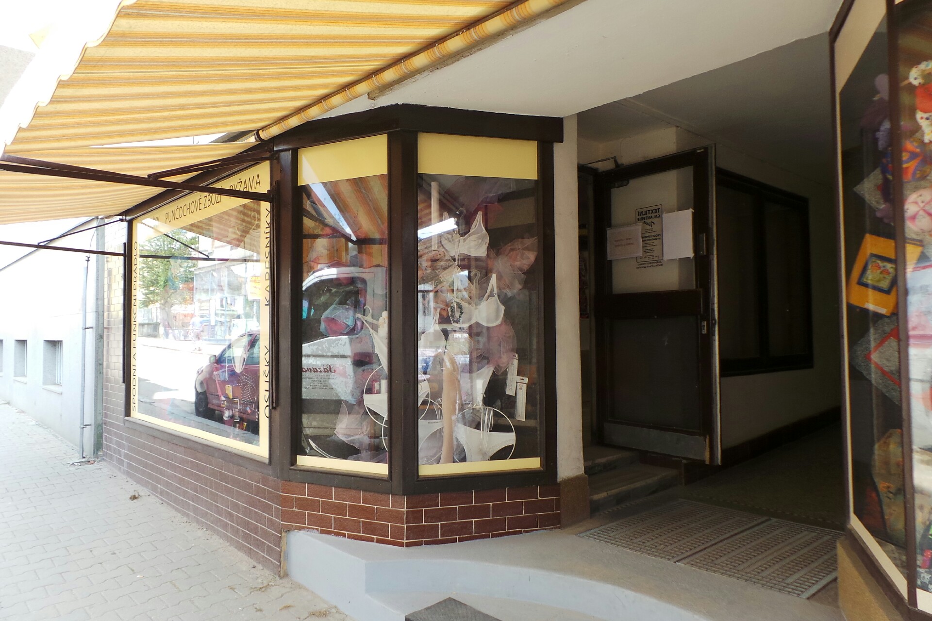 Pavla Lžíčařová foto 1