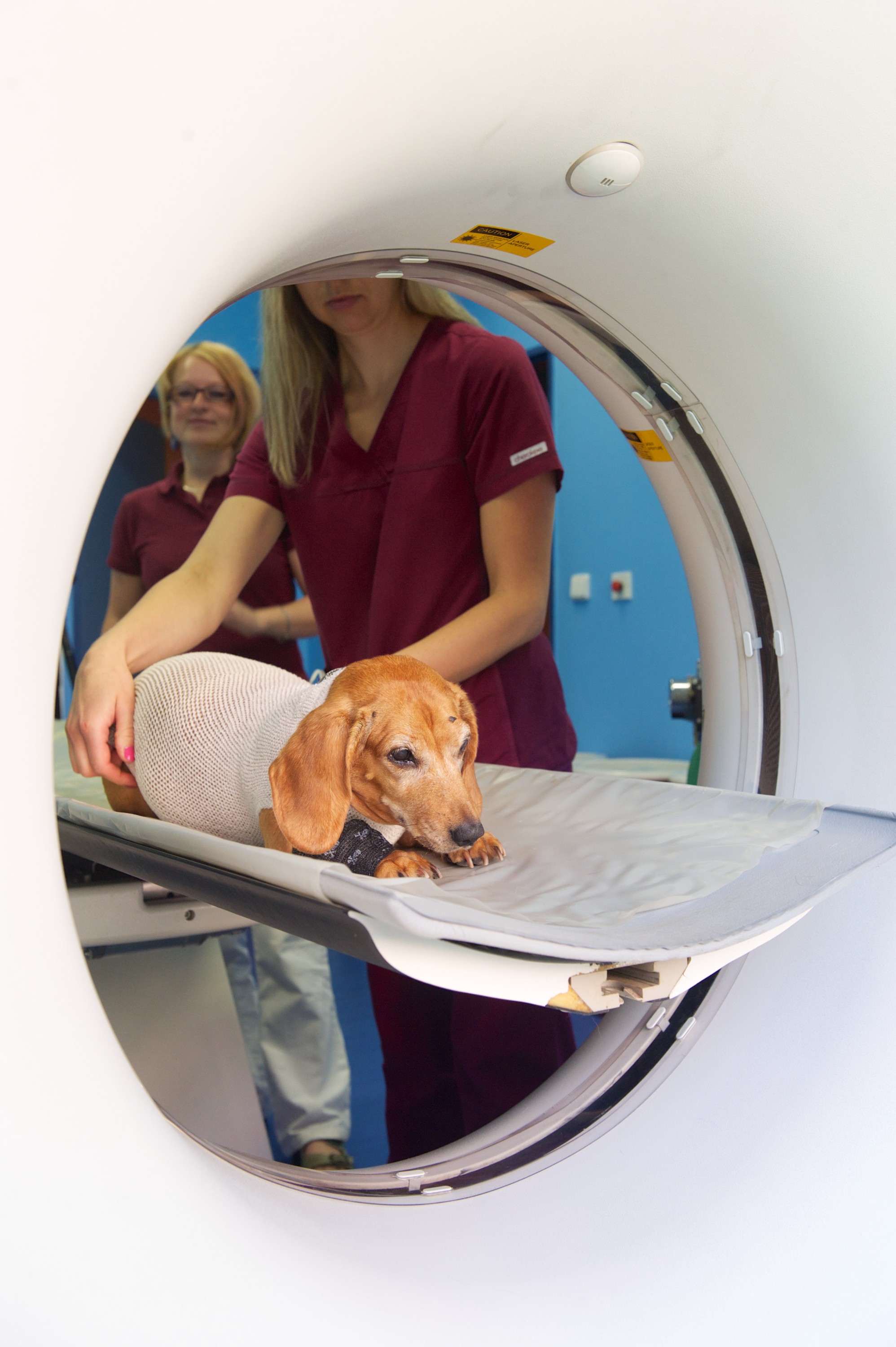 Veterinární klinika IVET foto 6
