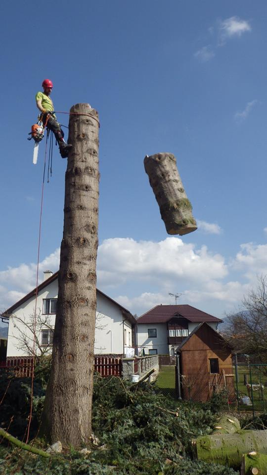 Jan Vyjídáček - kácení a ořezy dřevin foto 2