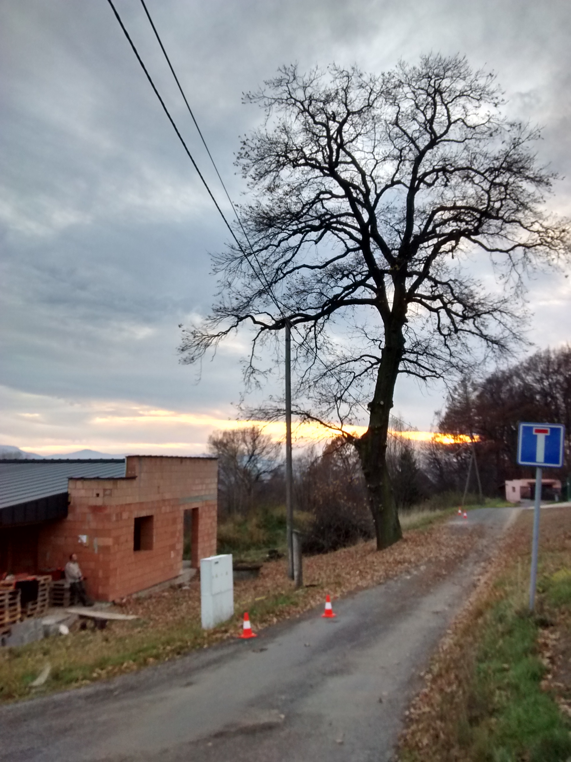 TREBRO foto 4