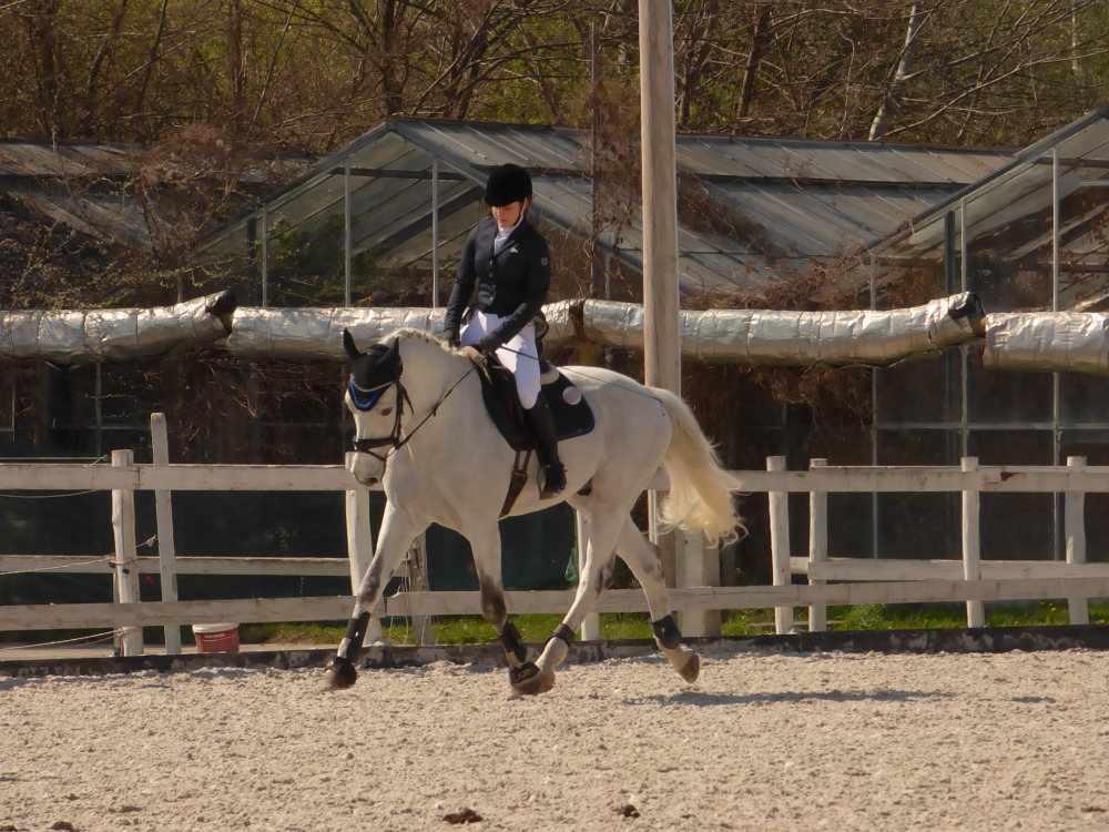 Jezdecká stáj Al-Kham-Sa Zlámanka foto 4