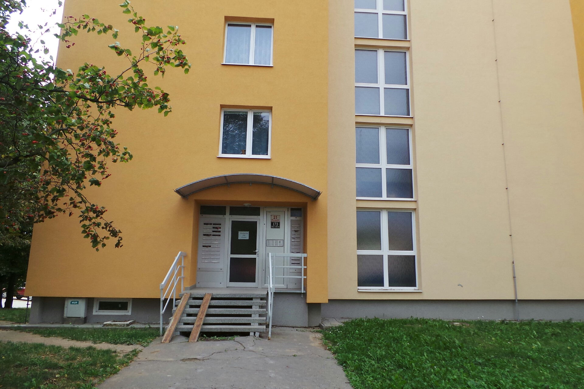 DMcleaning - Miloslav David