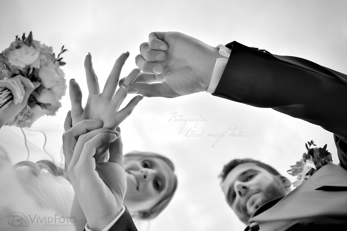 VividFoto.cz - fotograf Radek Havlíček foto 3