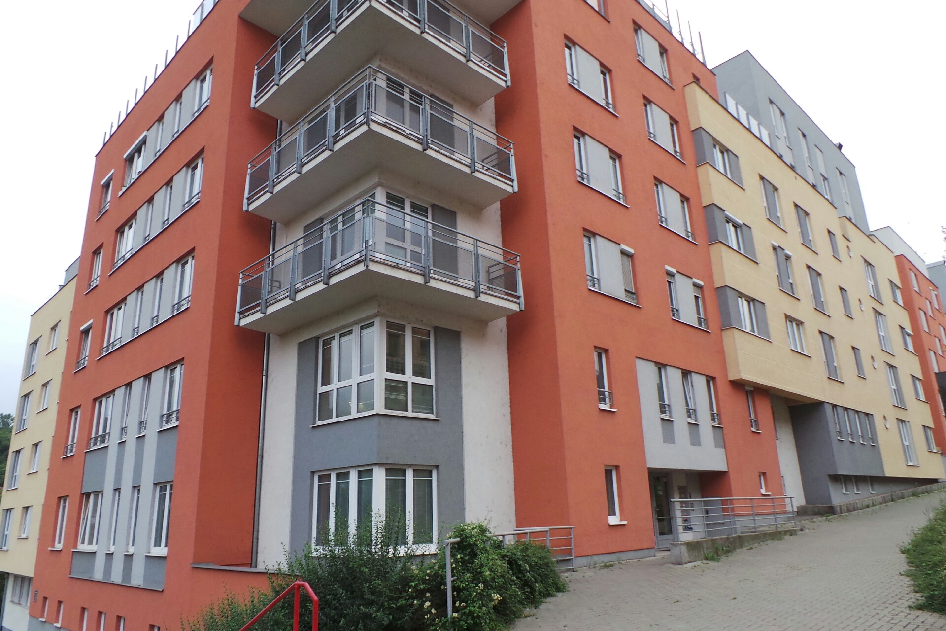 MUDr. Linda Fenclová