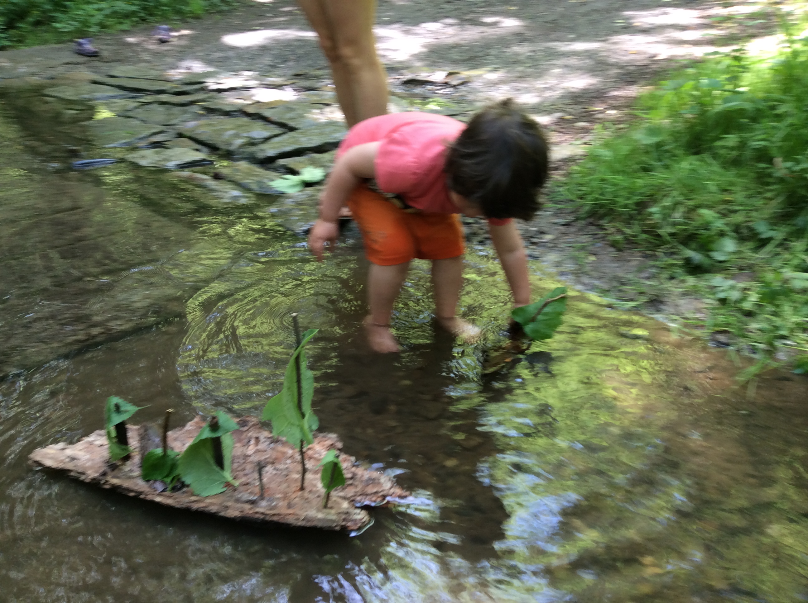 Lesní mateřská škola Studánka foto 4