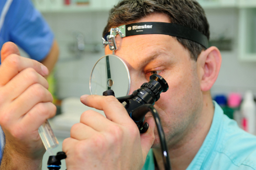 Veterinární nemocnice AA-Vet foto 3