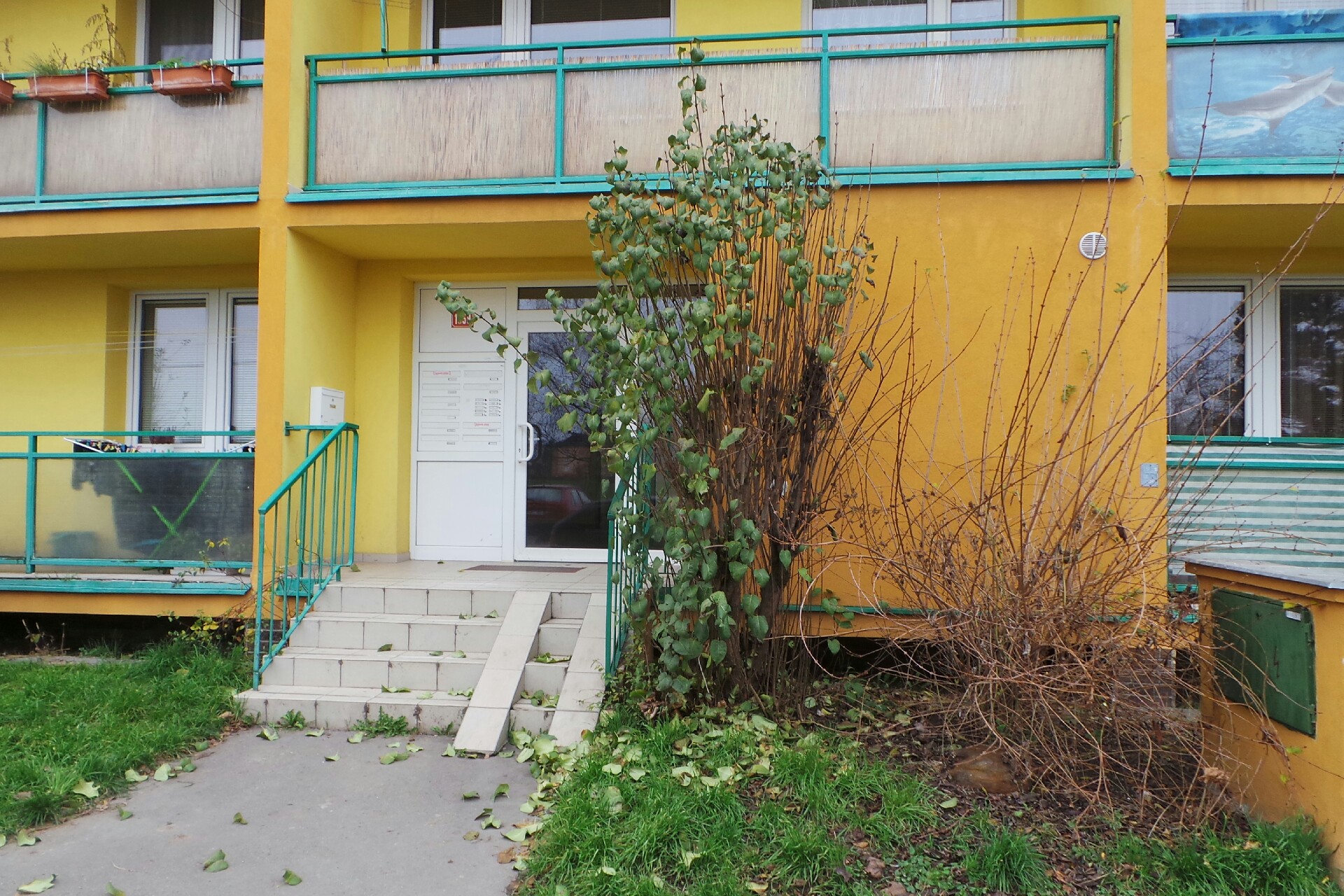 FbC Barracudas Slaný