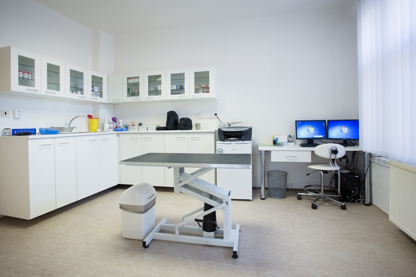 Veterina Očenášek foto 2