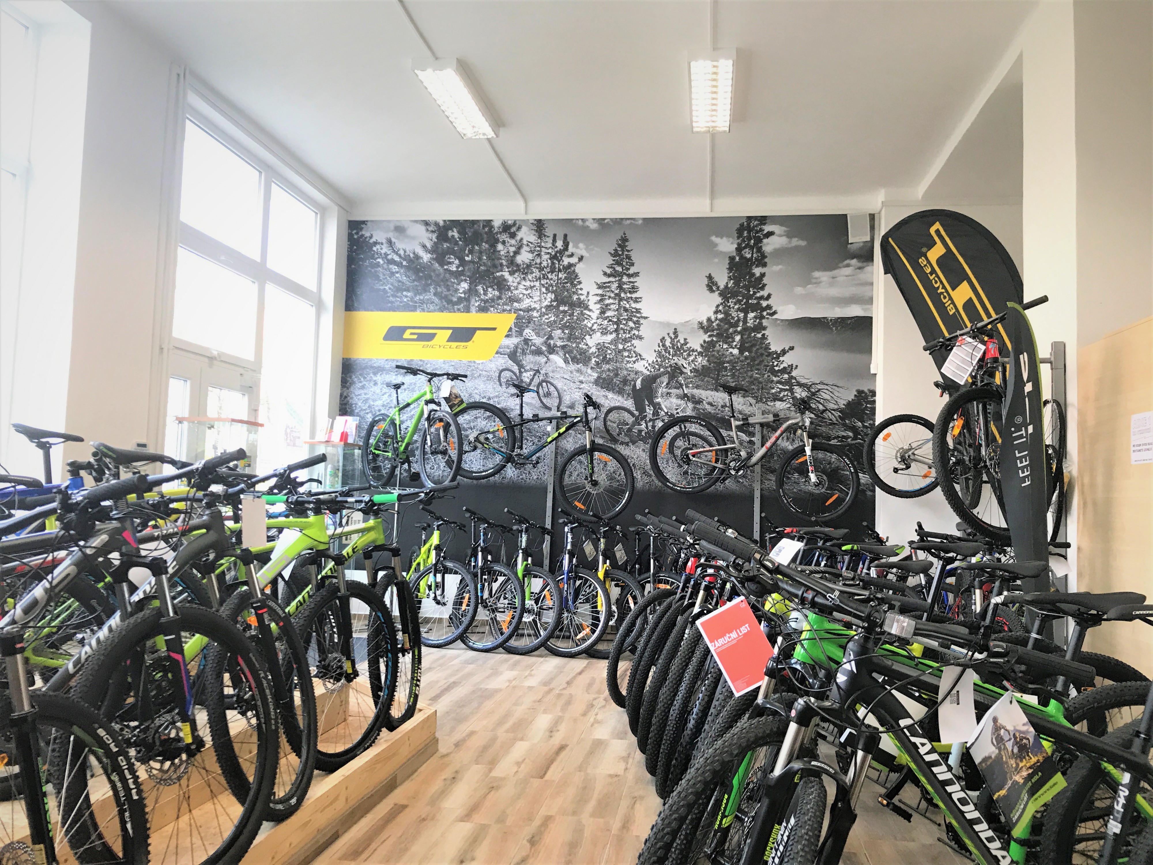 Jízdní kola Ramala foto 5