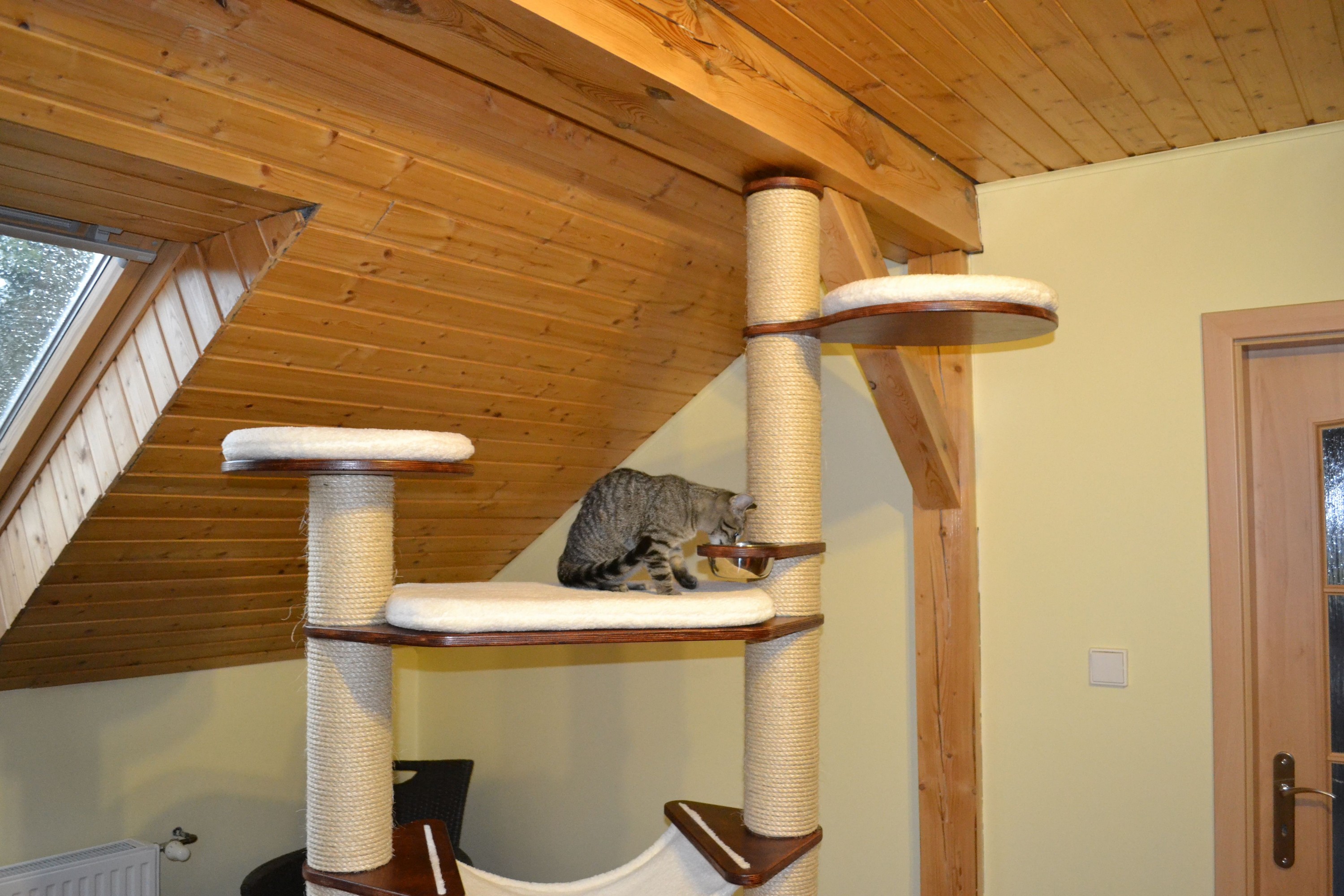 Petdreams.cz foto 2