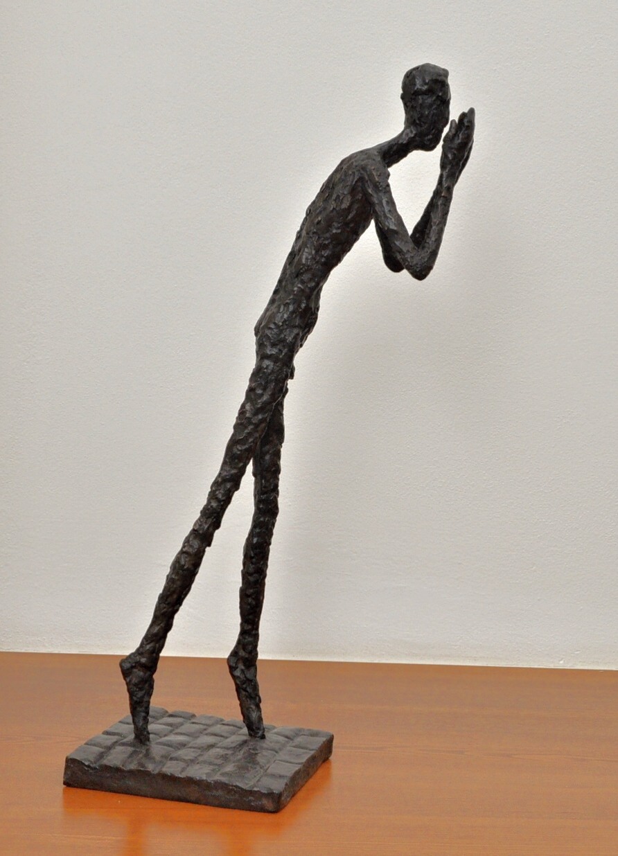 Galerie Friends of Fine Arts foto 6