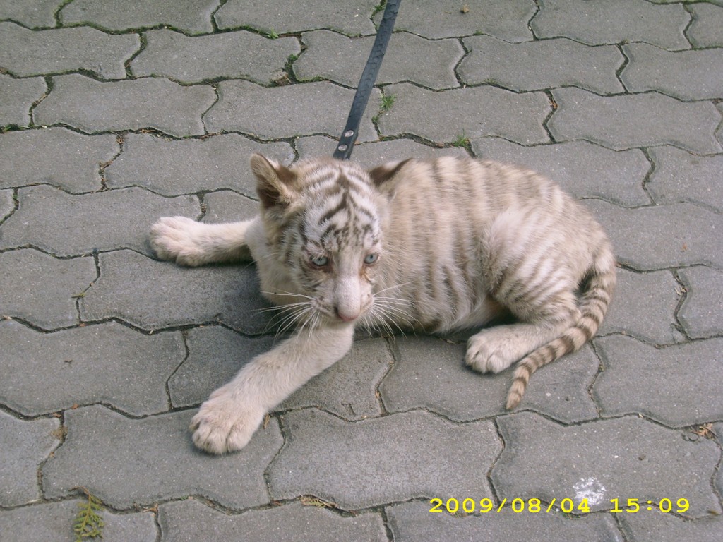 Ludvík Berousek foto 2