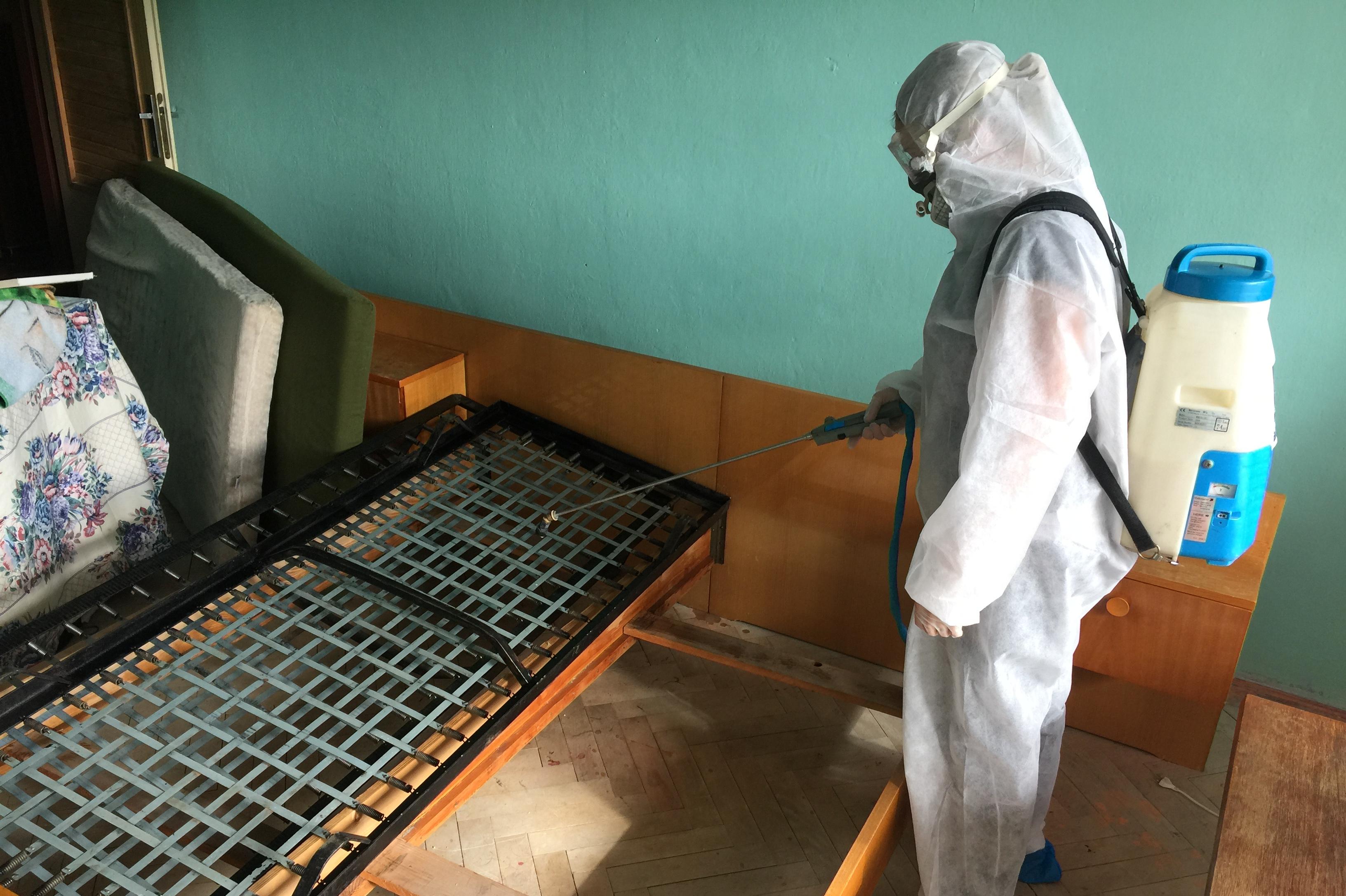 Karel Netopil REAL DDD