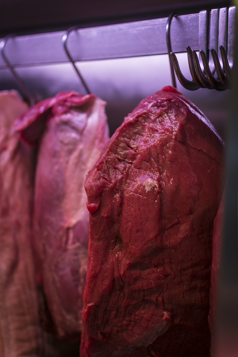 Baxant, spol. s r.o. foto 2