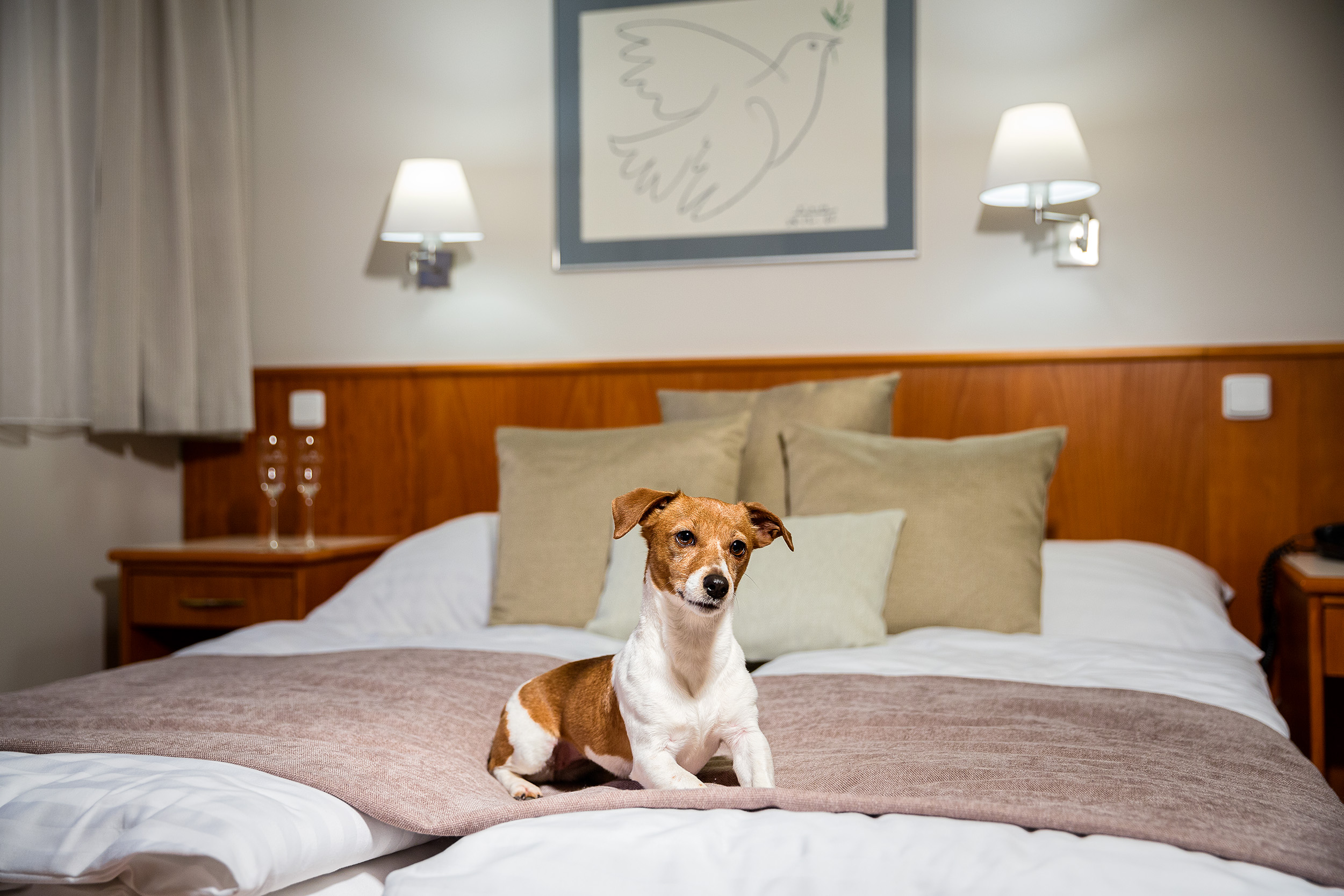 Hotel Sněžka – Špindlerův Mlýn foto 6