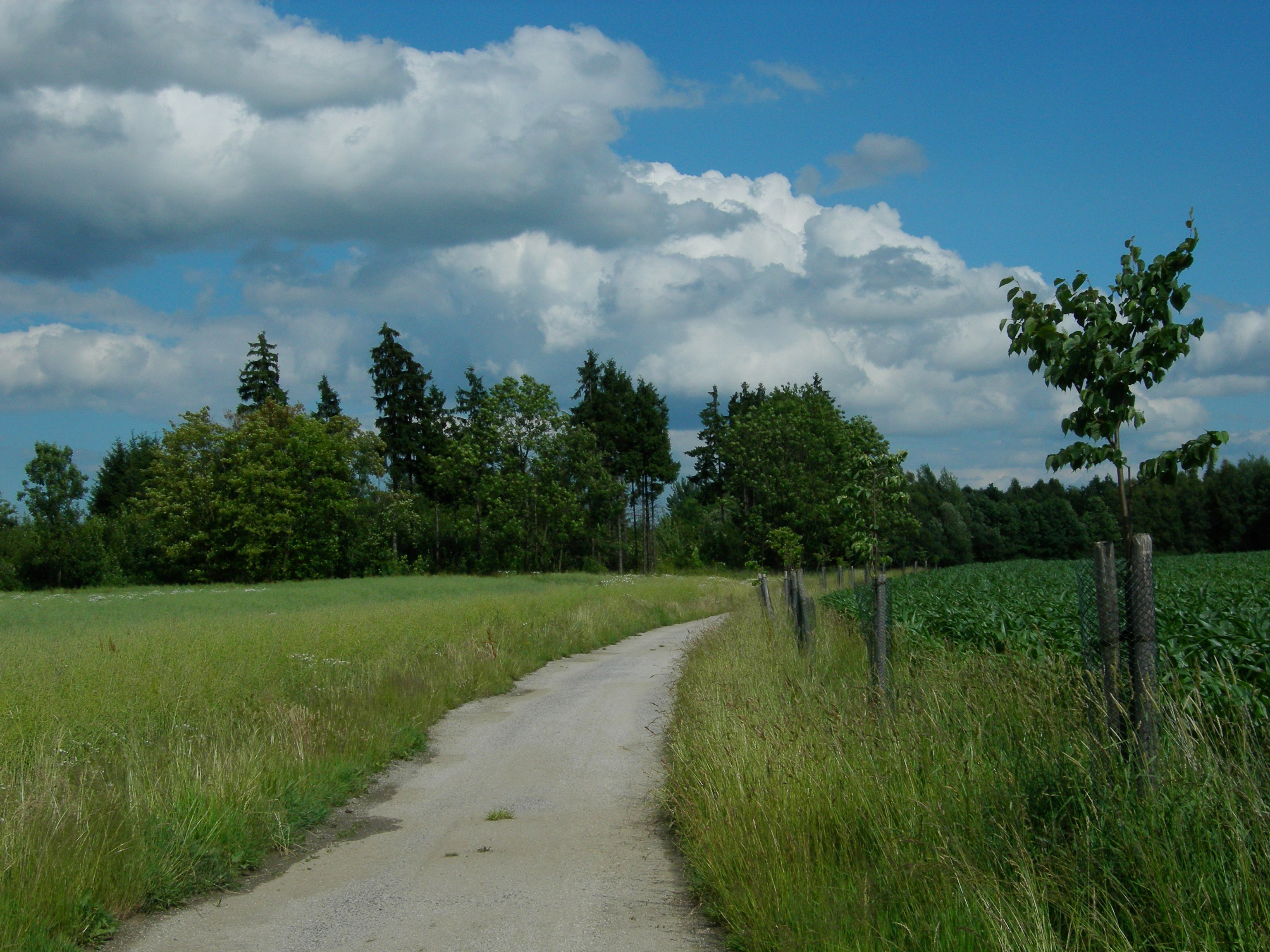 Sociální farma HORSE foto 2