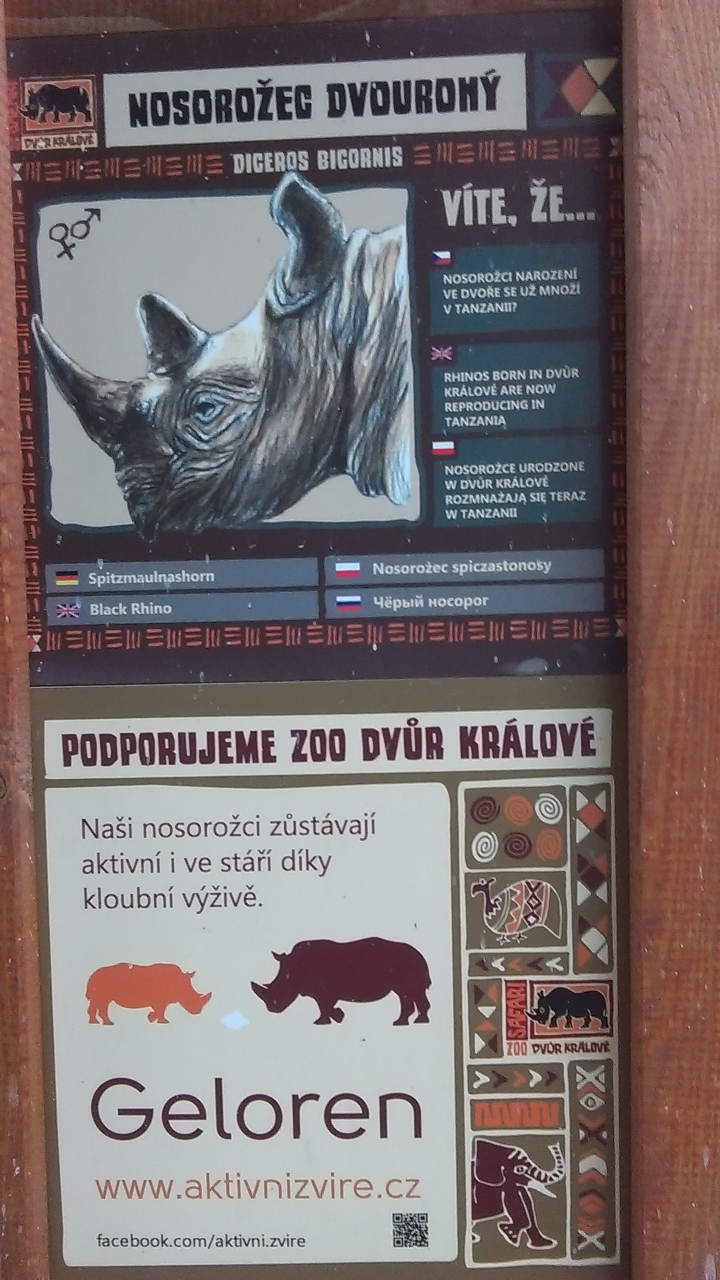 Safari Park Dvůr Králové - Safari Kemp foto 4