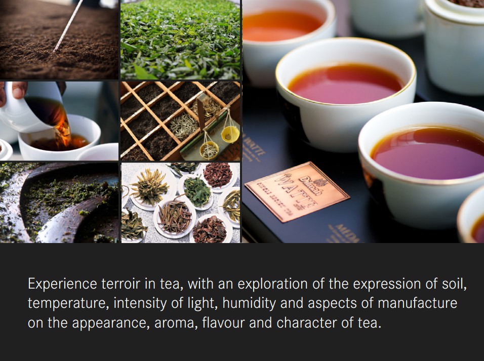 Cejlonský čaj - Ing. Zdeněk Přikryl foto 2