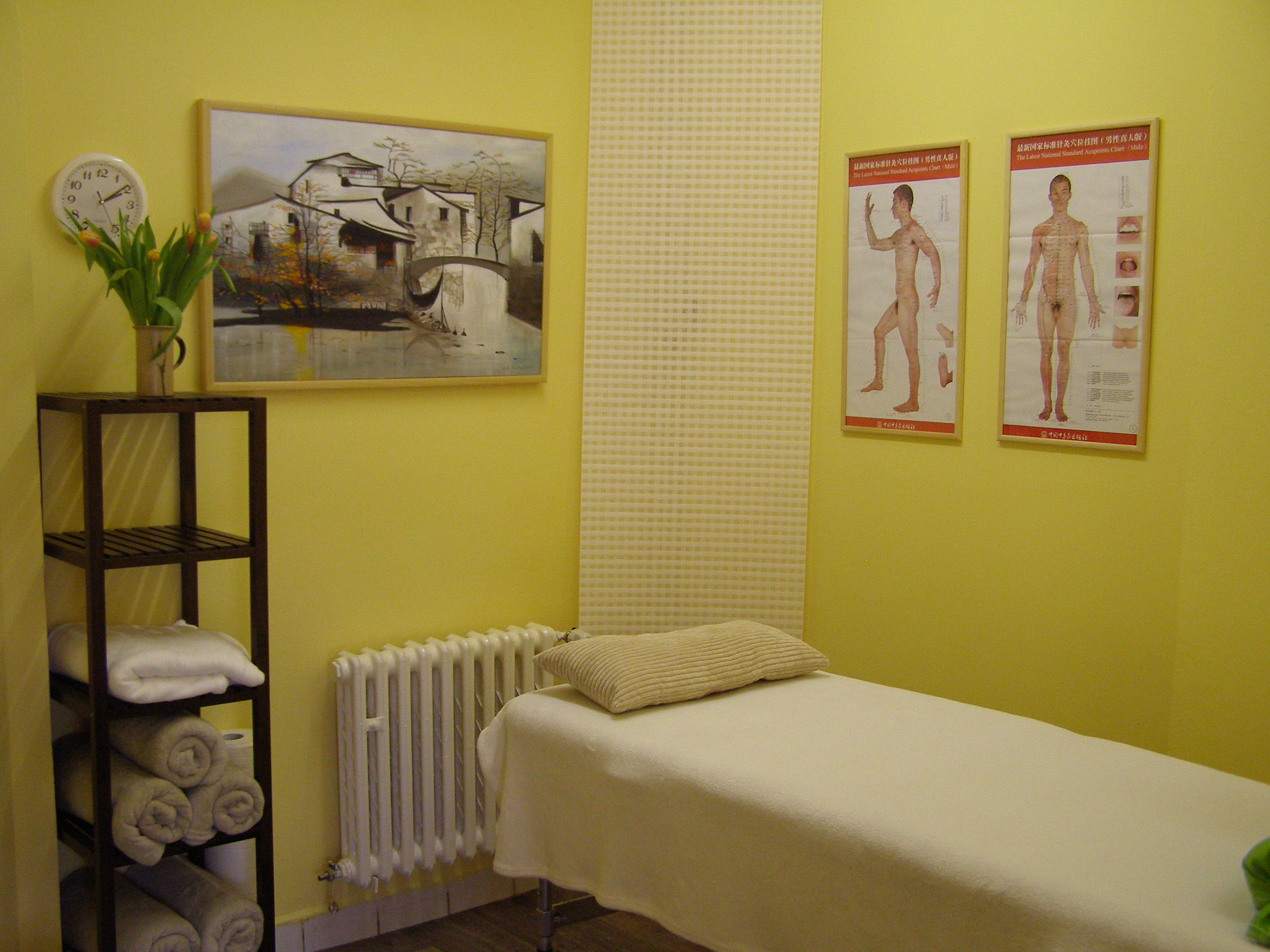 Radka Dohnalová, DiS - Centrum tradiční čínské medicíny Fénix foto 4