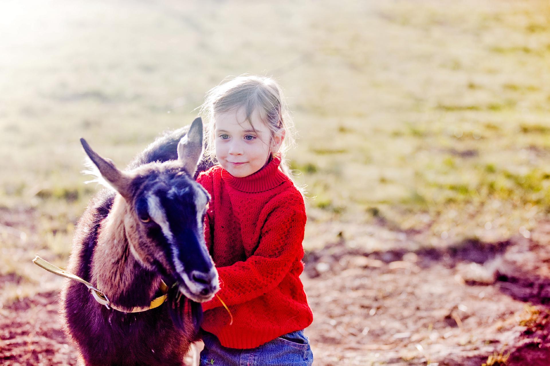 Kozí farma Úvalno - Šťastné kozy foto 3