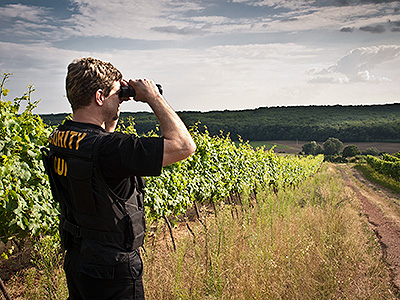 O.S.E. Security Consulting, s.r.o.