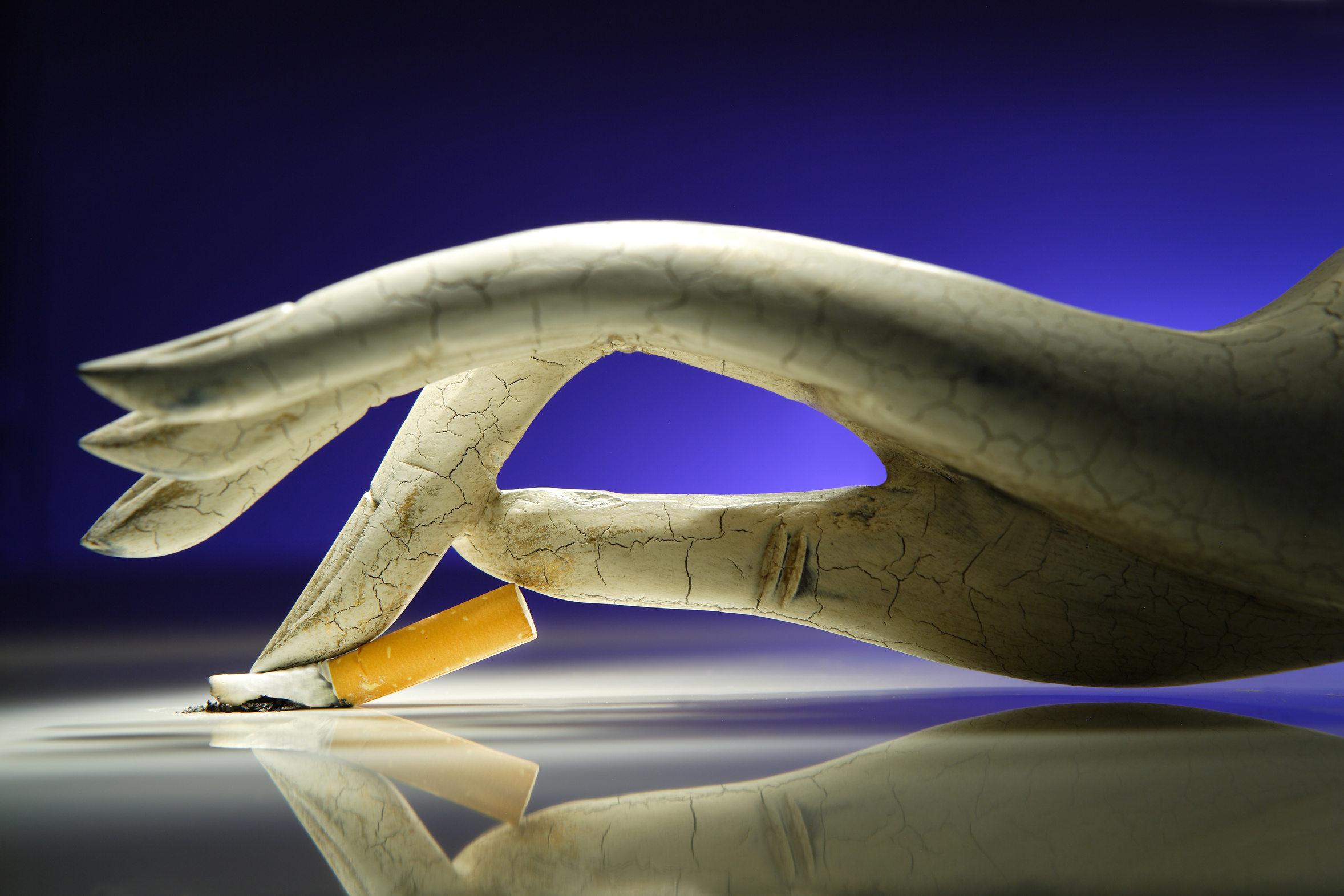 Daniela Mejtová - Biorezonance Chiron foto 2