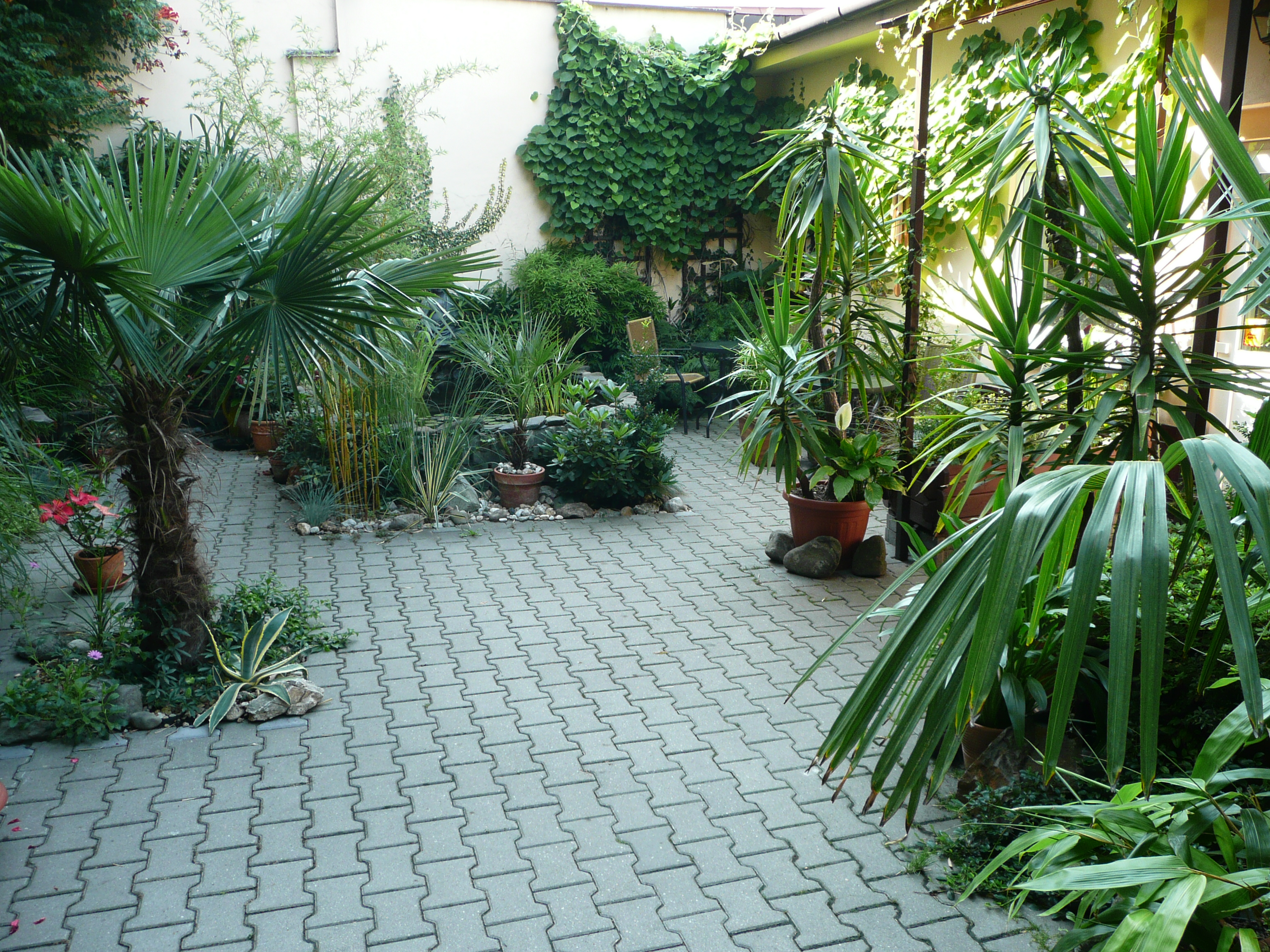 Solárium studio Exotic foto 3