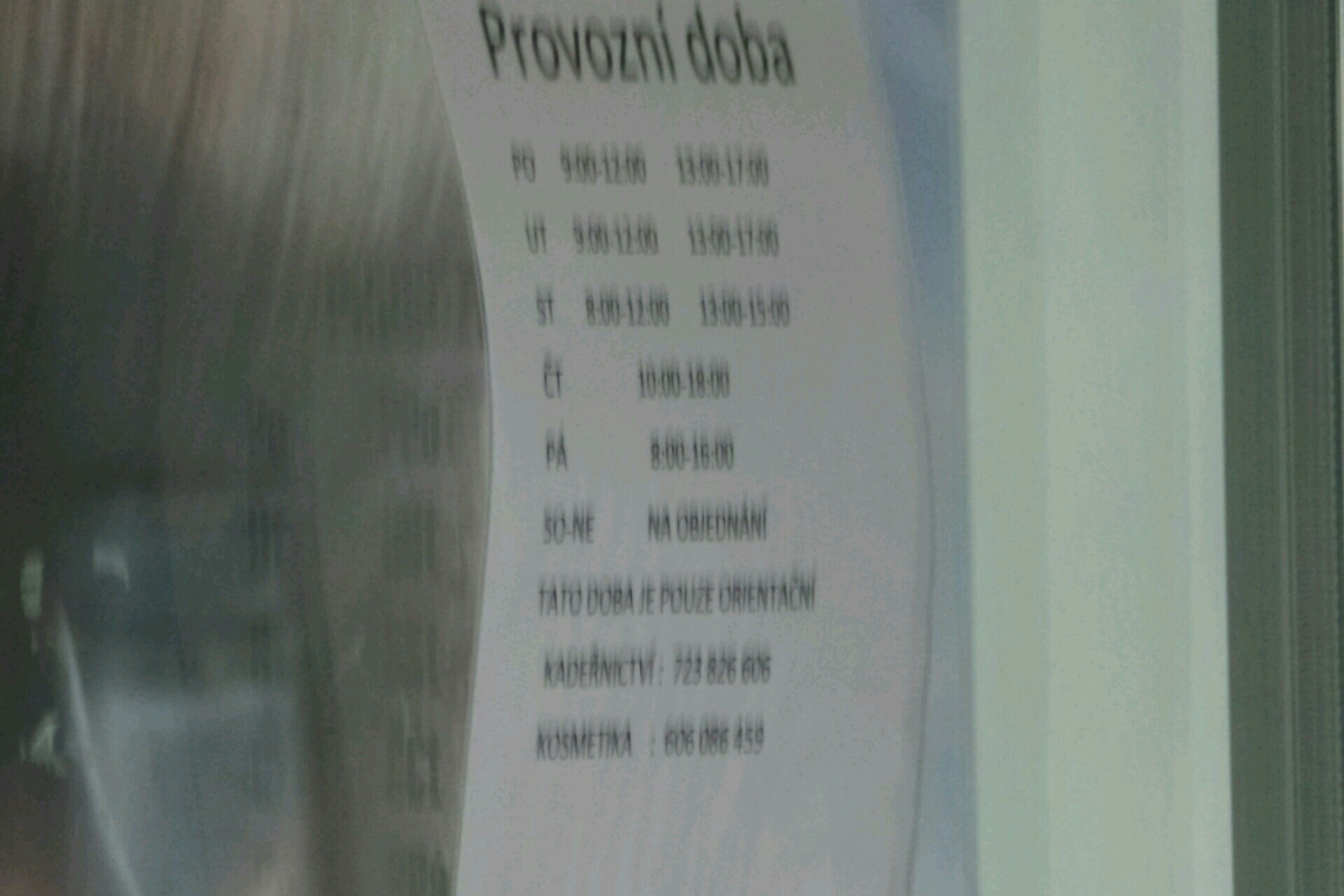 Manikůra Baliharová foto 2