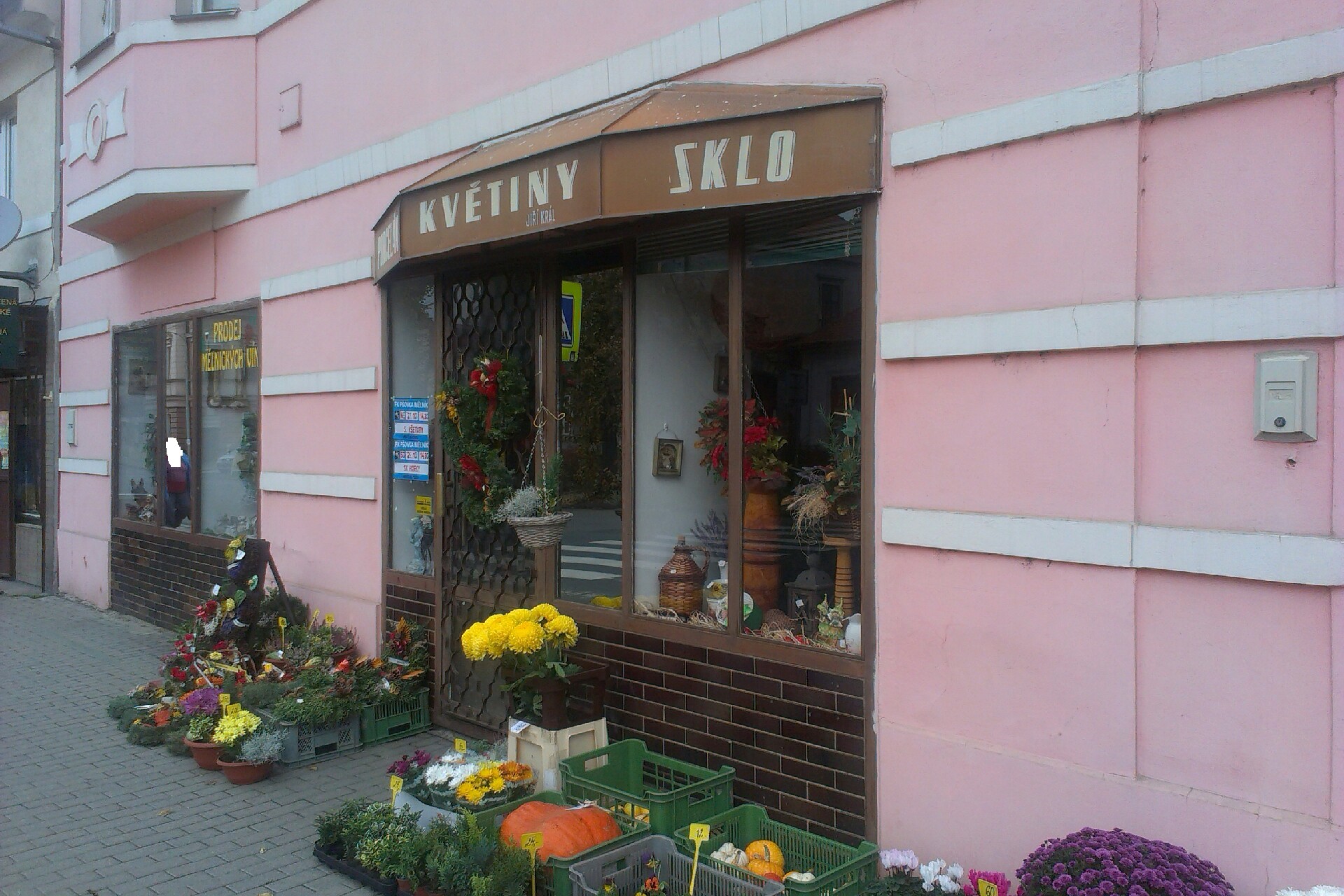 Jiří Král - Květiny Sklo Porcelán