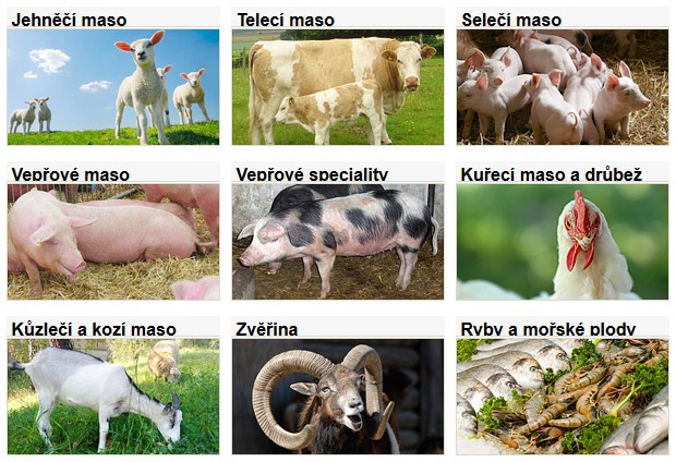 Masodomu.com foto 2