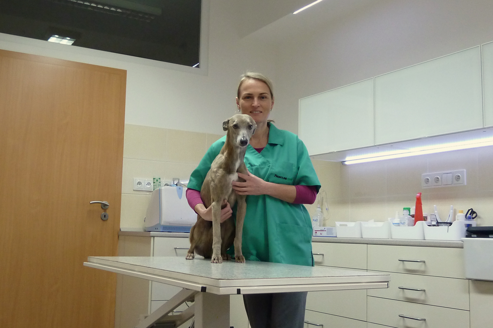 Veterinární ordinace MVDr. Andrea Lačňáková foto 1