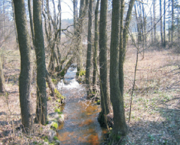 OBECNÍ ÚŘAD - SVĚTNOV foto 5