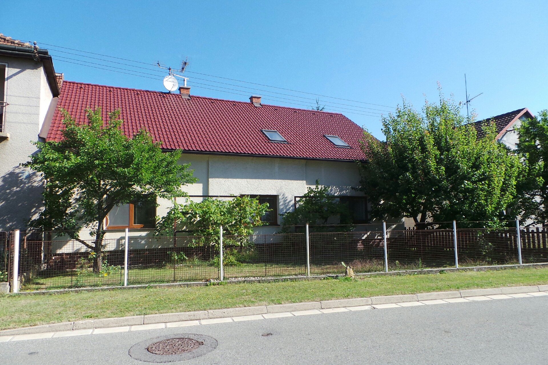 Michal Svoboda - EXOTICKÉ ROSTLINY