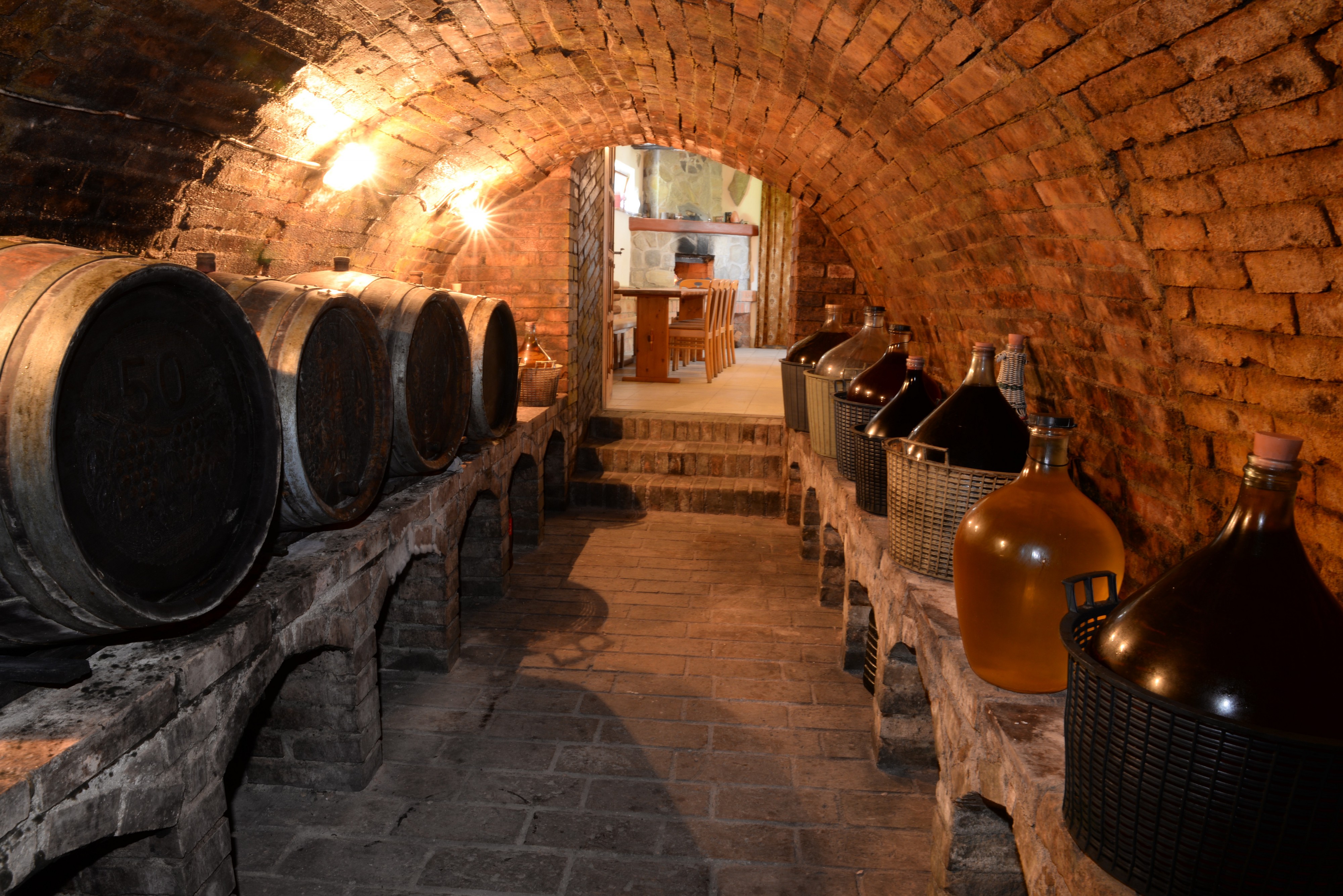 Ubytování U rybníka Bořetice Procházkovi foto 2