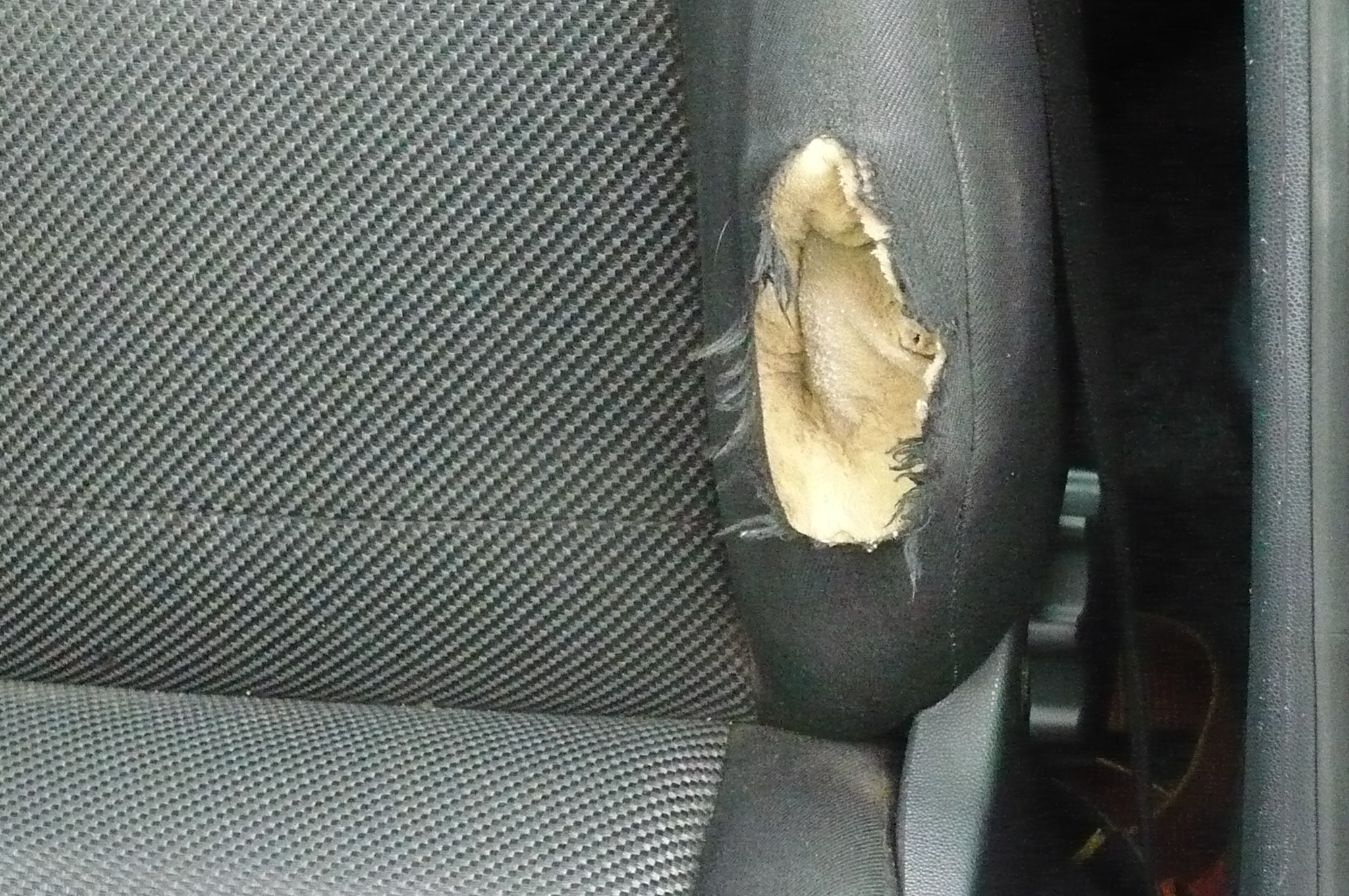 Autosedadla Švejda foto 4