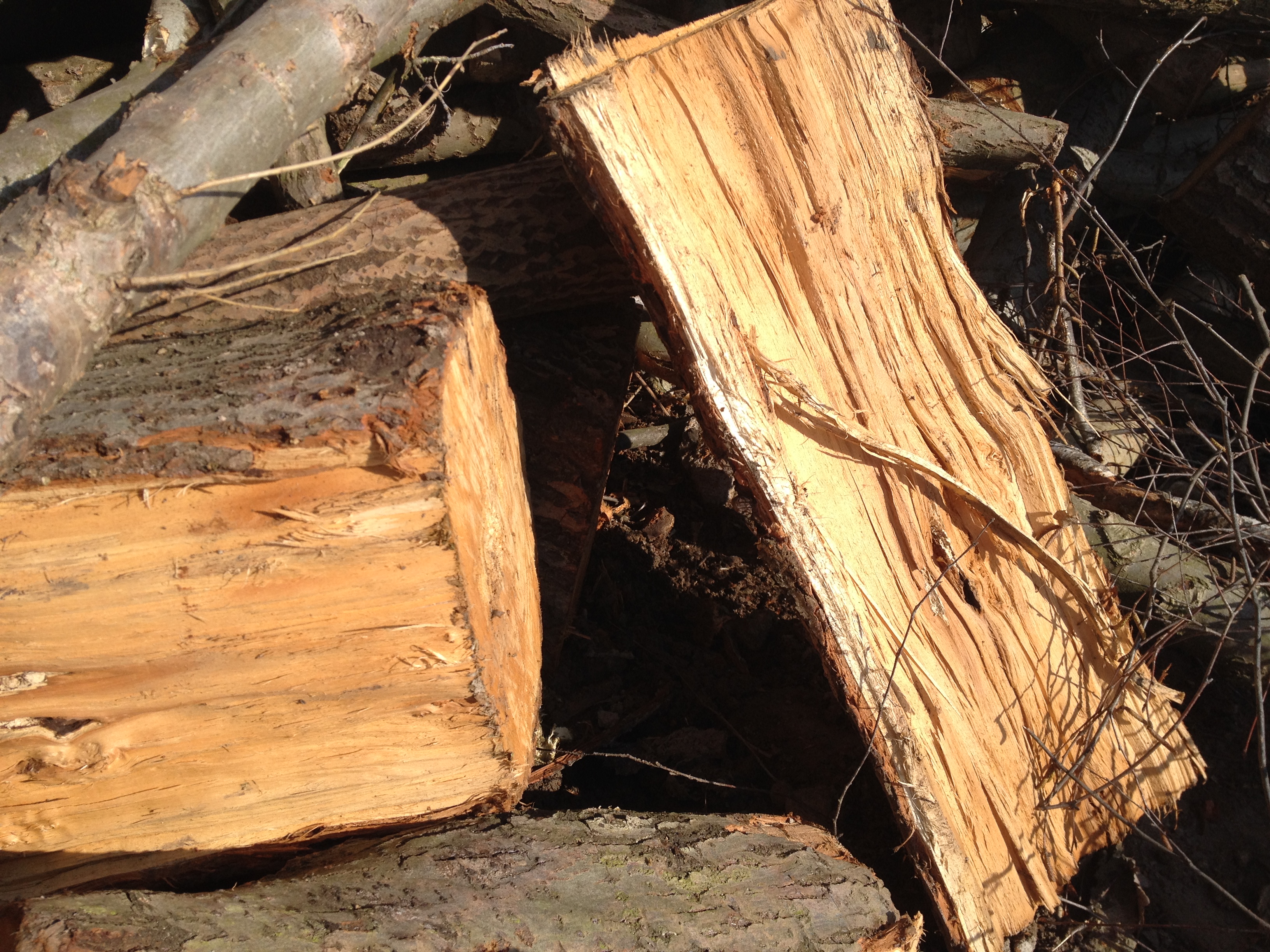 Recyklace zahrad foto 4