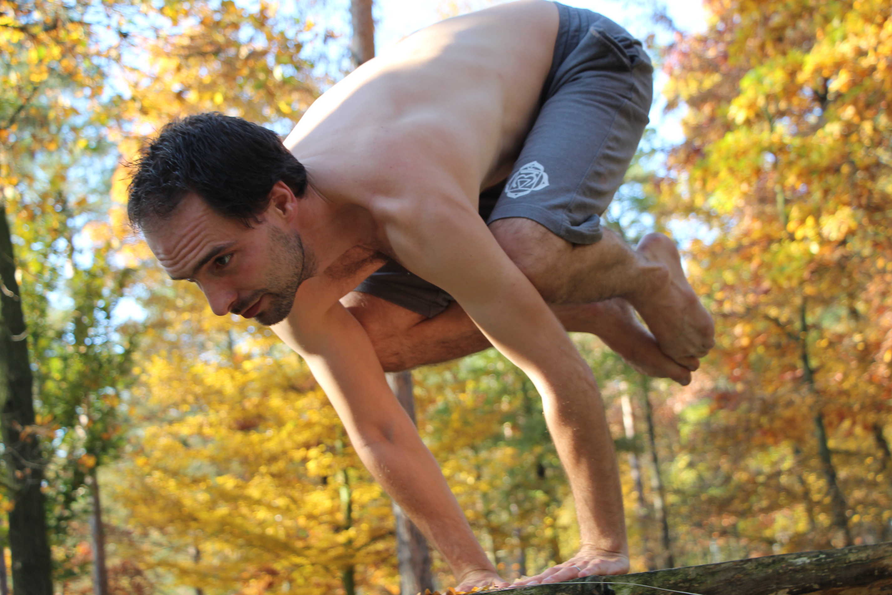 Soham Yoga Studio foto 4