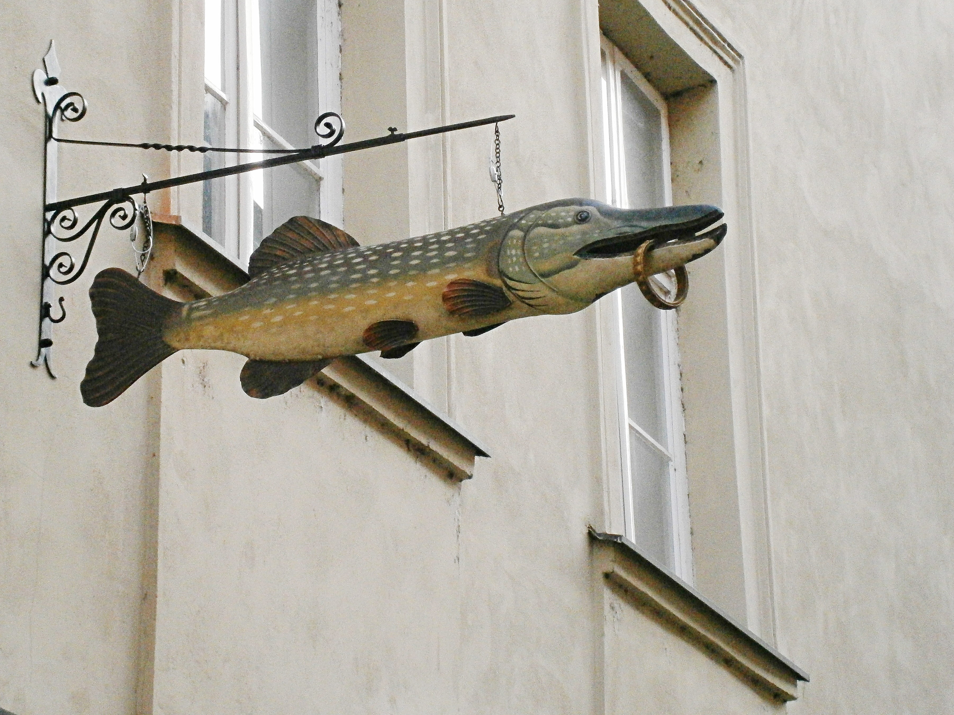 U Zlaté štiky foto 2