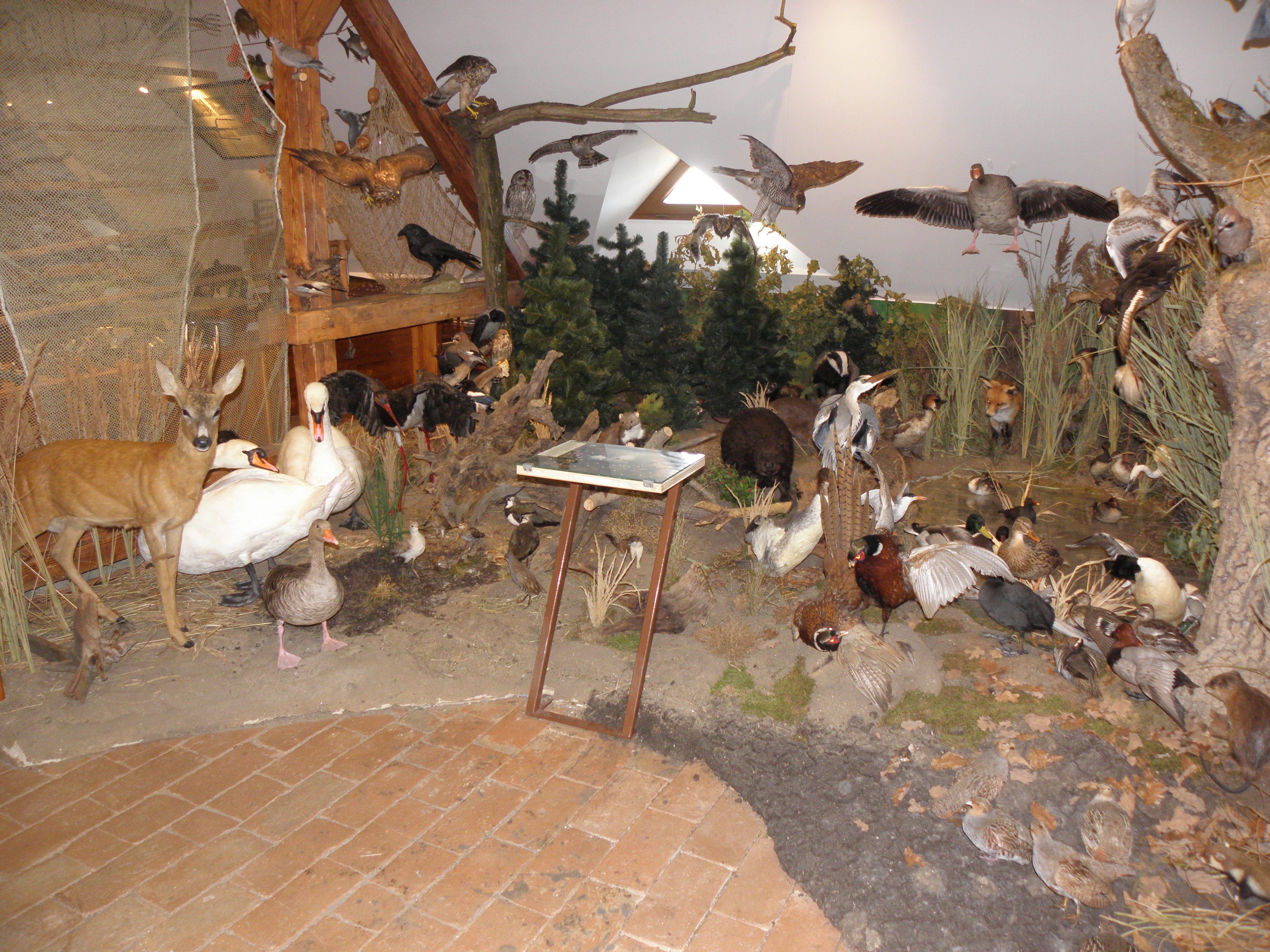 Rybářské muzeum Vodňany foto 3