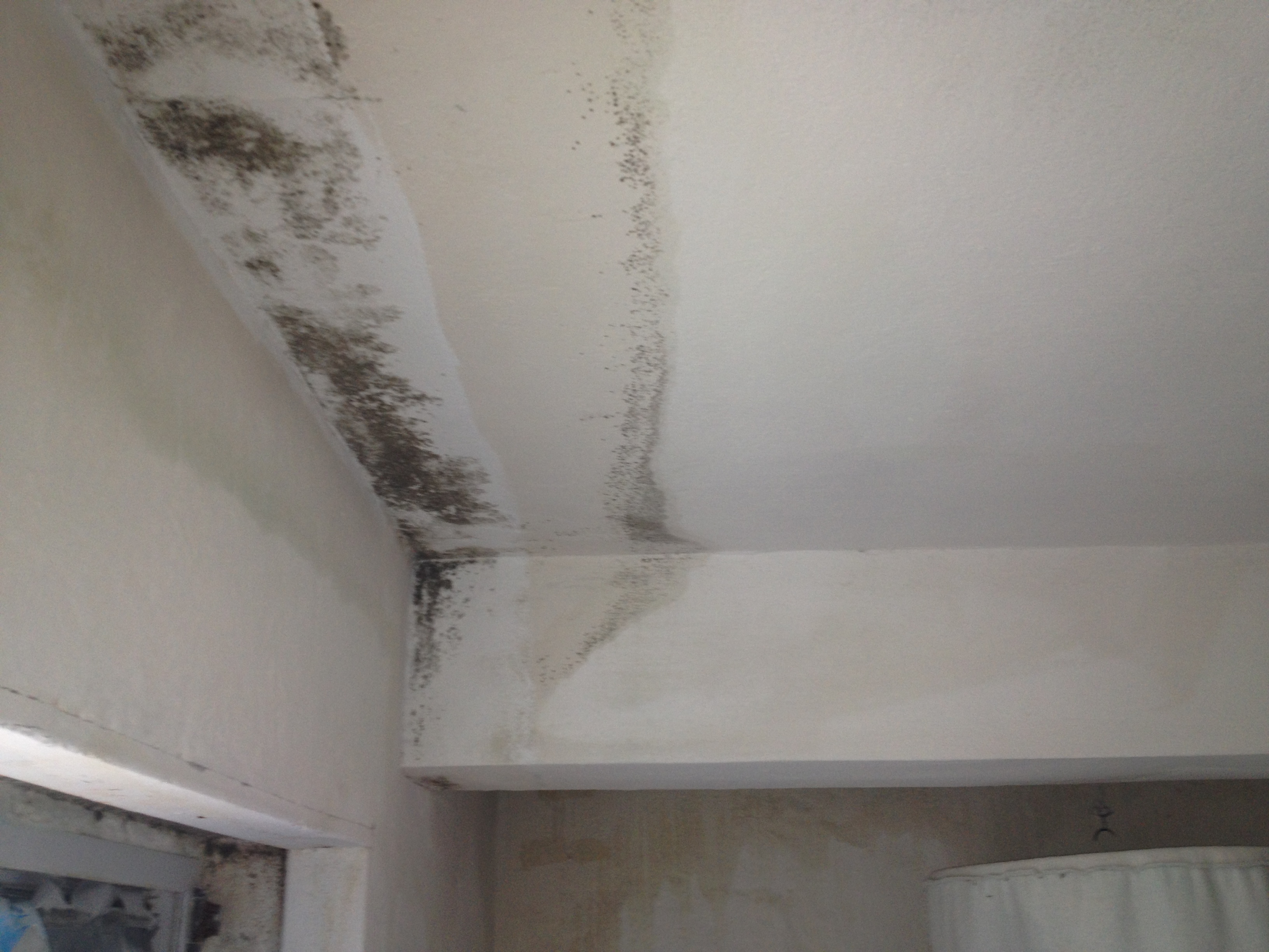 Eva Šulcová - Deratizace foto 3