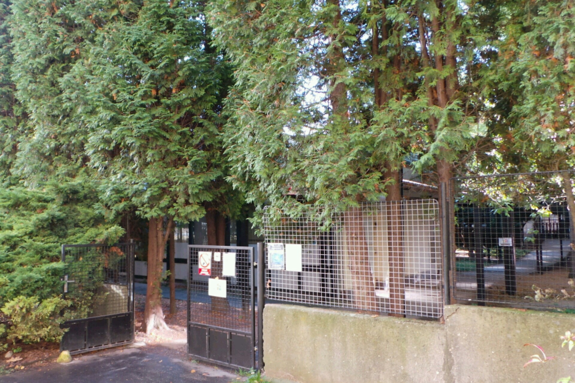 VOLNO, sdružení pro pomoc rodinám dětí s postižením foto 2