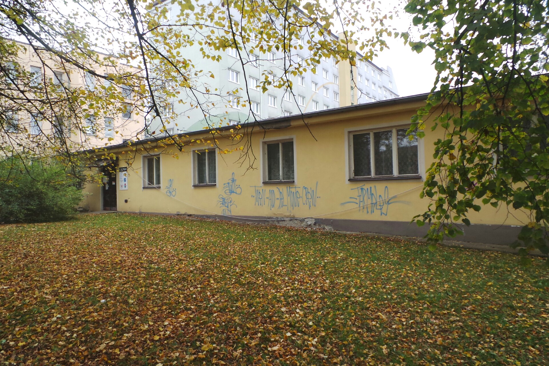 Sjednocená organizace nevidomých a slabozrakých České republiky