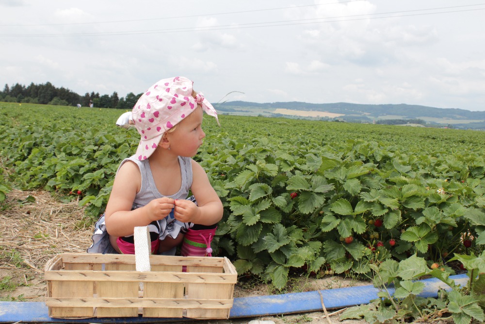 Zahradnictví U Růženky foto 2