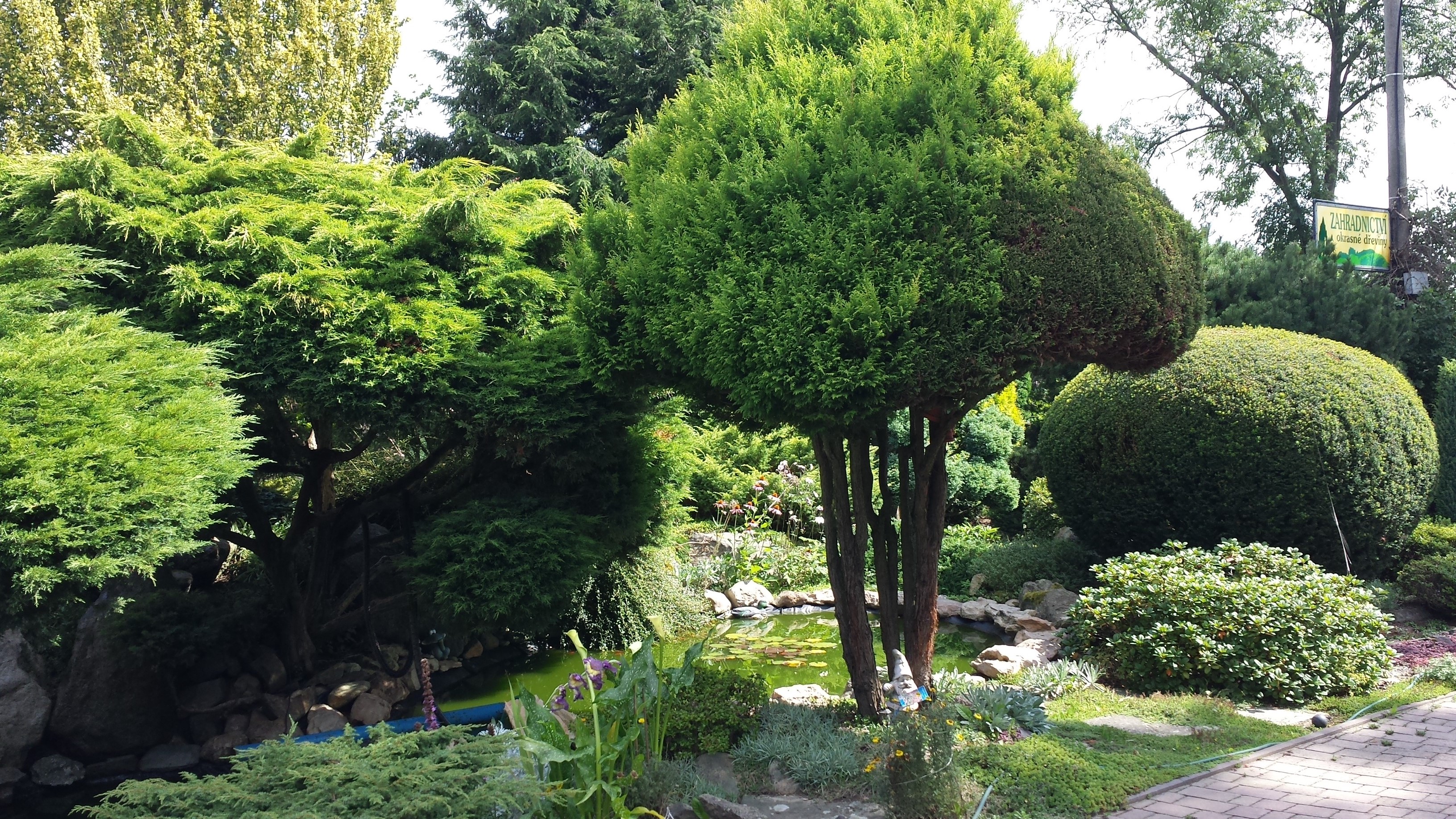 Jan Cvikl - Zahradnictví okrasné dřeviny foto 2