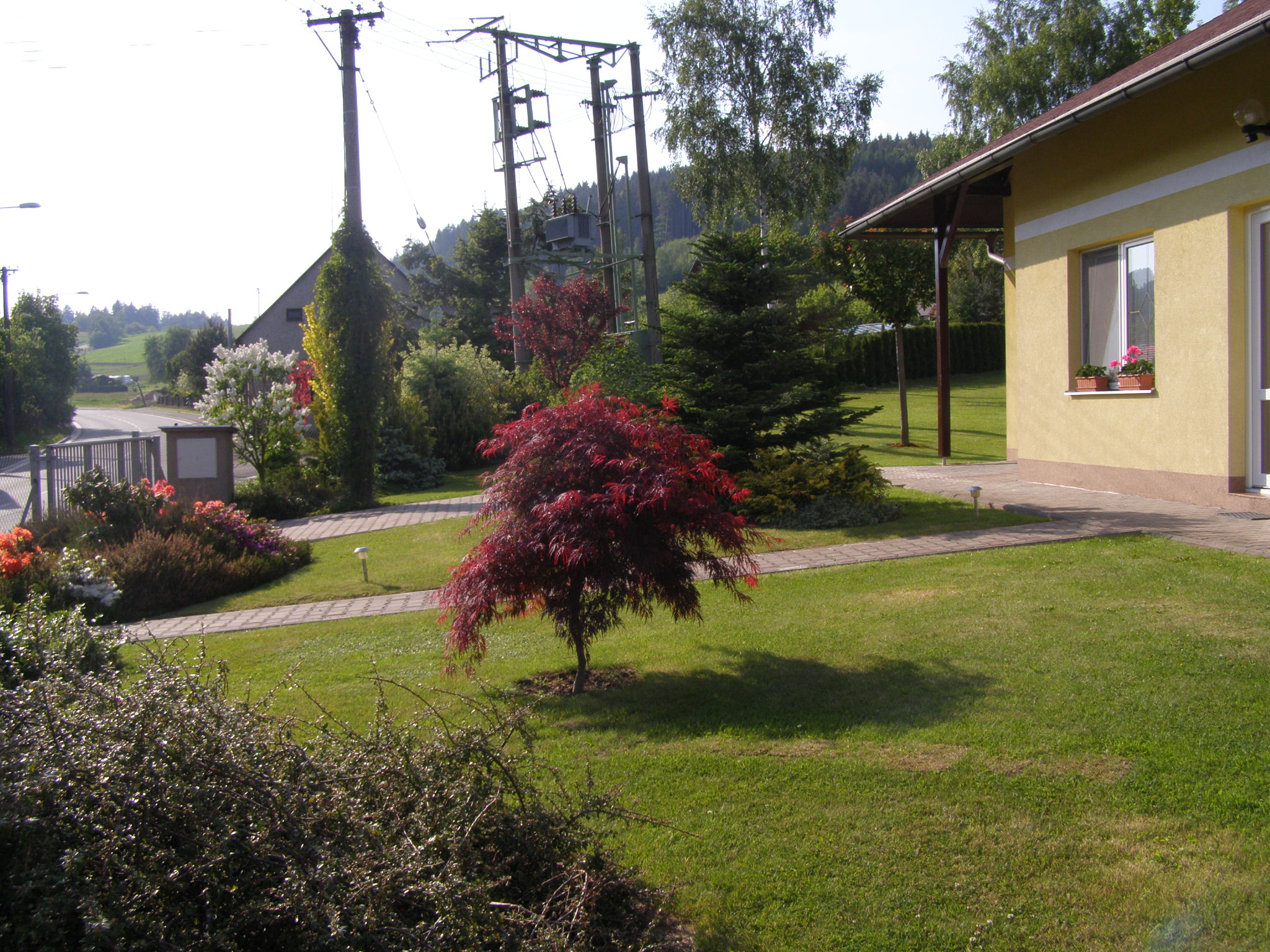 Ján Jankovič foto 3
