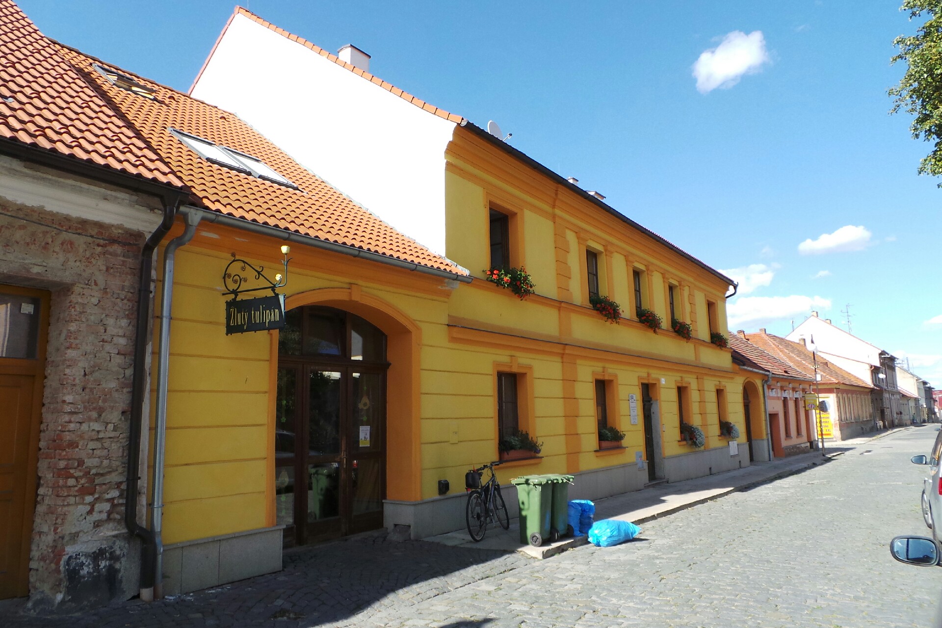 Květinářství Žlutý tulipán